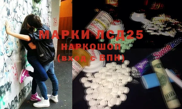 шишки Аркадак