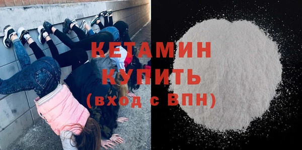 шишки Аркадак